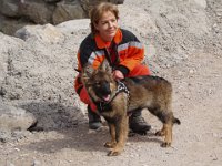 Ki-Shani : Hunde Übung 26.03.2011